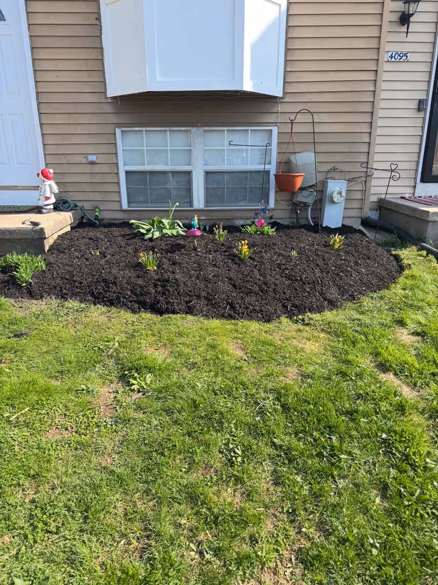 Freshly mulched garden bed with small plants and decorative items beneath a basement window of a beige house.