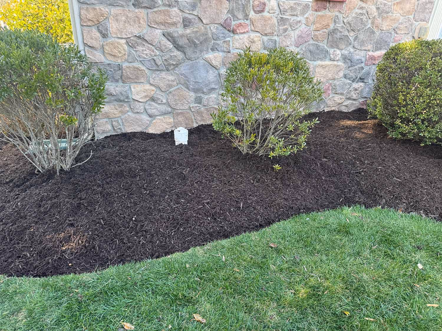 Mulched garden bed with green shrubs in front of a stone wall and a green lawn.