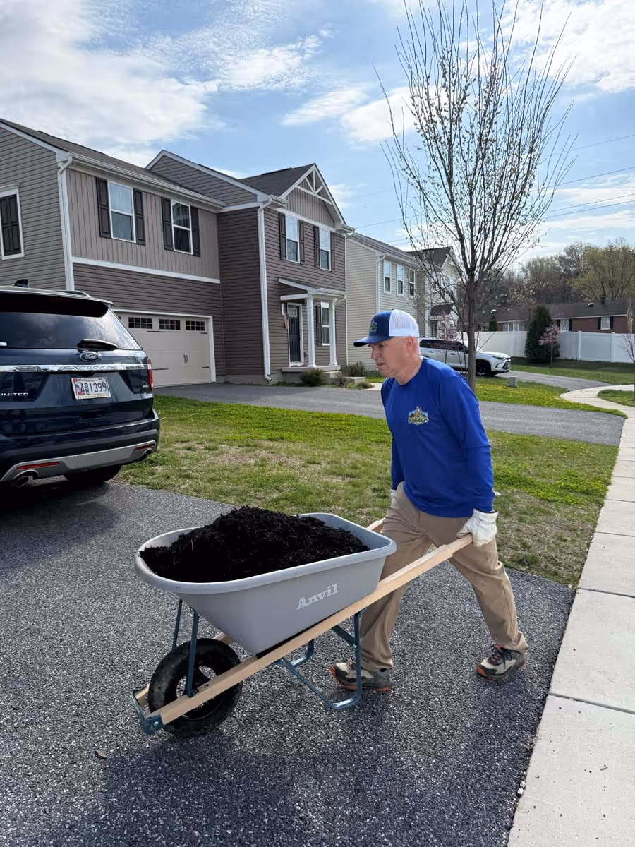 Man wearing a blue shirt and beige pants pushing a wheelbarrow filled with dark mulch on a residential driveway.